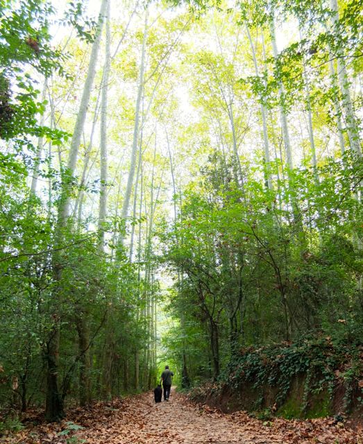 El Figaró, camí cap a La Garriga vora el Congost.