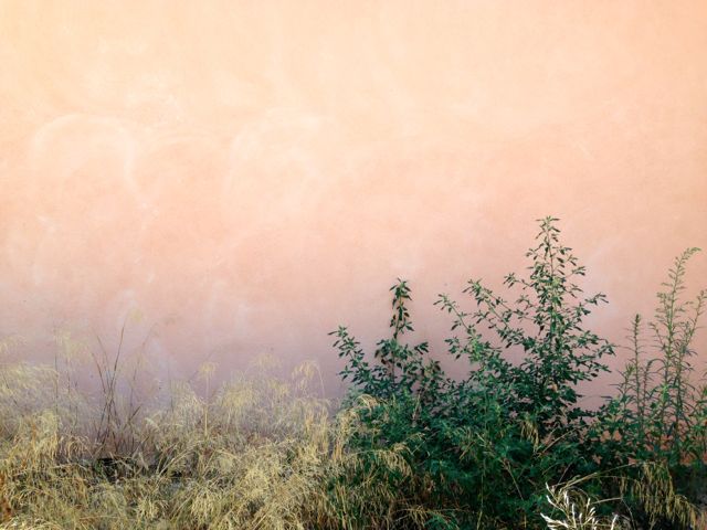 Tanatori de Les Corts